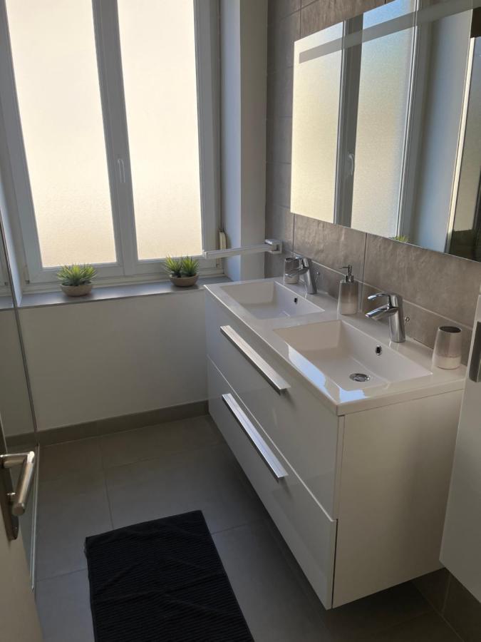 Appartement De Prestige Au Centre Climatise Avec Jardin Prive Colmar Exterior photo